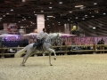 Equita Longines - Le Salon du Cheval de Lyon - 2018 _4815.jpg