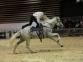 Equita Longines - Le Salon du Cheval de Lyon - 2018 _4821.jpg