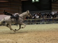 Equita Longines - Le Salon du Cheval de Lyon - 2018 _4855.jpg