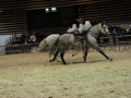 Equita Longines - Le Salon du Cheval de Lyon - 2018 _4867.jpg