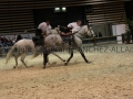 Equita Longines - Le Salon du Cheval de Lyon - 2018 _4868.jpg