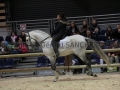 Equita Longines - Le Salon du Cheval de Lyon - 2018 _4927.jpg