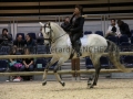 Equita Longines - Le Salon du Cheval de Lyon - 2018 _4956.jpg