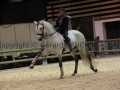 Equita Longines - Le Salon du Cheval de Lyon - 2018 _4966.jpg