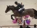 Concours Hippique International de Genève 2019 _ 2224 Dubbeldam