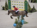 Concours Hippique International de Genève 2019 _ 2245 Schwizer