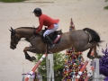 Concours Hippique International de Genève 2019 _ 2249 Schwizer