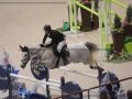 Concours Hippique International de Genève 2019 _ 2292 Philippaerts