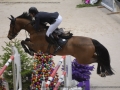 Concours Hippique International de Genève 2019 _ 2301 Mändli