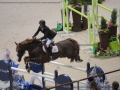 Concours Hippique International de Genève 2019 _ 2313 Veniss