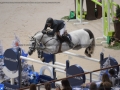 Concours Hippique International de Genève 2019 _ 2356 Wathelet