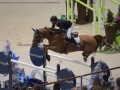 Concours Hippique International de Genève 2019 _ 2363 Willis