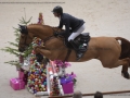 Concours Hippique International de Genève 2019 _ 2371 Maher