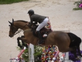 Concours Hippique International de Genève 2019 _ 2392 Bluman