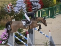 Concours Hippique International de Genève 2019 _ 2457 Bruynseels