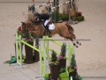 Concours Hippique International de Genève 2019 _ 2463 Verlooy