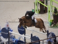 Concours Hippique International de Genève 2019 _ 2466 Verlooy