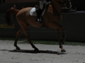 Concours Hippique International de Genève 2019 _ 2701_copy