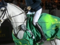 Concours Hippique International de Genève 2019 _ 2718_copy