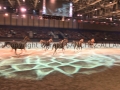 Equita Longines Le Salon du Cheval de Lyon_0744s.jpg