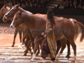 Equita Longines Le Salon du Cheval de Lyon_0824s.jpg