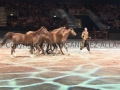 Equita Longines Le Salon du Cheval de Lyon_0843s.jpg