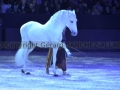 Equita Longines Le Salon du Cheval de Lyon_0851s.jpg