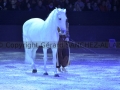 Equita Longines Le Salon du Cheval de Lyon_0852s.jpg