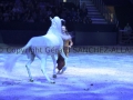 Equita Longines Le Salon du Cheval de Lyon_0929s.jpg