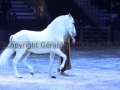 Equita Longines Le Salon du Cheval de Lyon_0971s.jpg