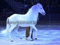 Equita Longines Le Salon du Cheval de Lyon_0974s.jpg