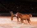 Equita Longines - le Salon du Cheval de Lyon_8191s.jpg