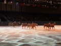 Equita Longines - le Salon du Cheval de Lyon_8192s.jpg