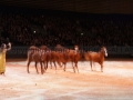 Equita Longines - le Salon du Cheval de Lyon_8193s.jpg