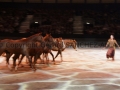 Equita Longines - le Salon du Cheval de Lyon_8210s.jpg