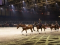 Equita Longines - le Salon du Cheval de Lyon_7884s.jpg