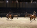 Equita Longines - le Salon du Cheval de Lyon_7894s.jpg