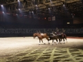 Equita Longines - le Salon du Cheval de Lyon_7917s.jpg