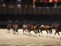 Equita Longines - le Salon du Cheval de Lyon_7945s.jpg