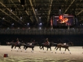 Equita Longines - le Salon du Cheval de Lyon_7951s.jpg