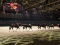 Equita Longines - le Salon du Cheval de Lyon_7952s.jpg