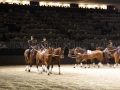 Equita Longines - le Salon du Cheval de Lyon_7982s.jpg