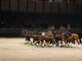 Equita Longines - le Salon du Cheval de Lyon_7991s.jpg