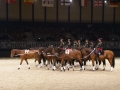 Equita Longines - le Salon du Cheval de Lyon_7997s.jpg