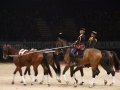 Equita Longines - le Salon du Cheval de Lyon_8004s.jpg