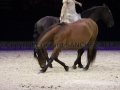 Equita Longines - le Salon du Cheval de Lyon_8135s.jpg