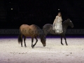 Equita Longines - le Salon du Cheval de Lyon_8140s.jpg