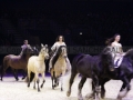 Equita Longines - le Salon du Cheval de Lyon_8164s.jpg