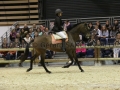 Equita Longines - Le Salon du Cheval de Lyon - 2018 _3360.jpg