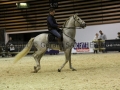 Equita Longines - Le Salon du Cheval de Lyon - 2018 _3386.jpg